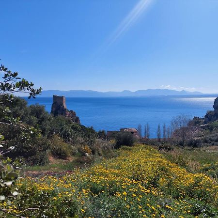 Piccola Baia Villa Scopello  Eksteriør billede