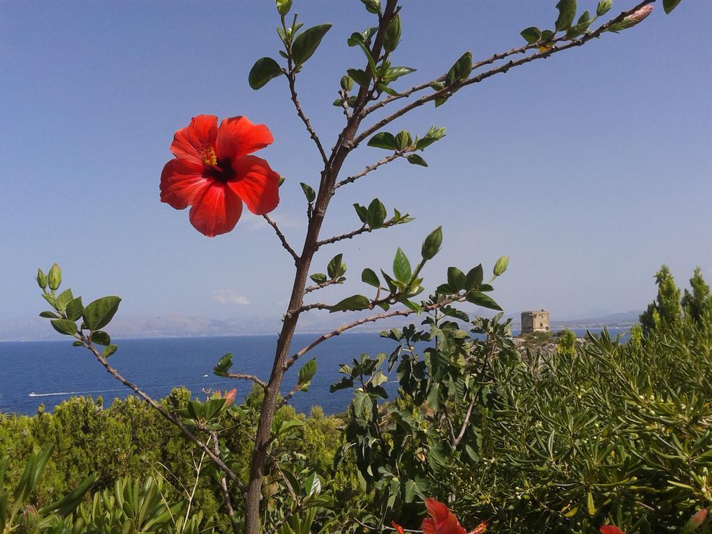 Piccola Baia Villa Scopello  Eksteriør billede
